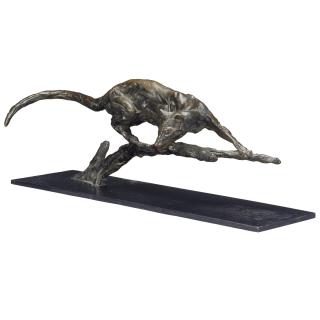 Jonathan Kenworthy - British Genet Cat