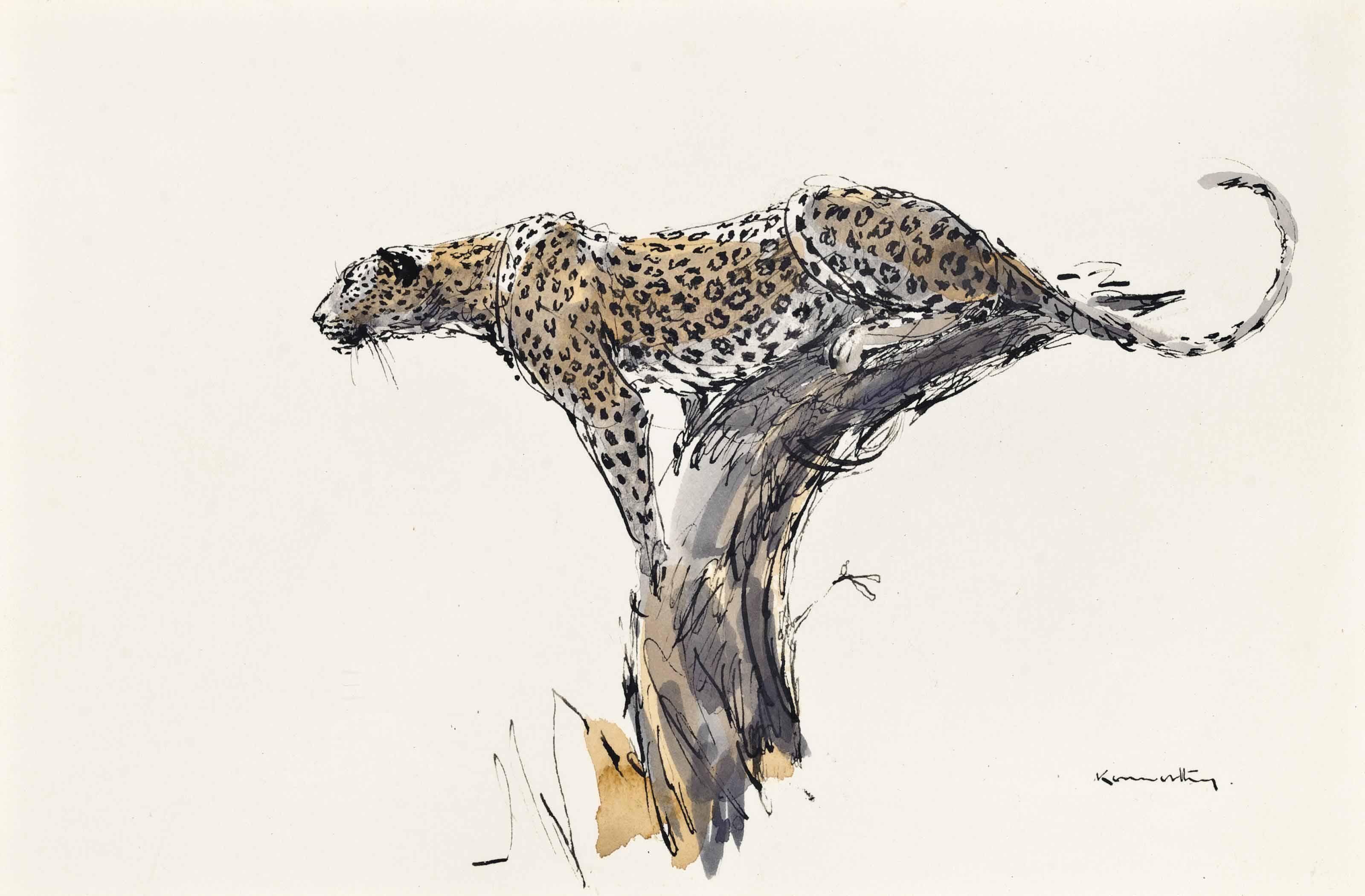 Jonathan Kenworthy - Leopard In A Tree