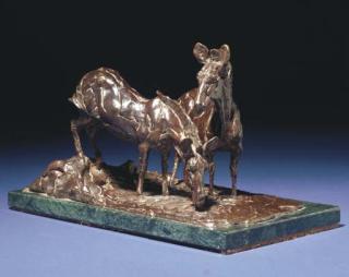 Jonathan Kenworthy - Zebras drinking