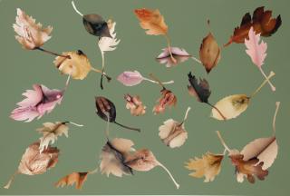 Jonathan Yeo - Falling Leaves (Olive)