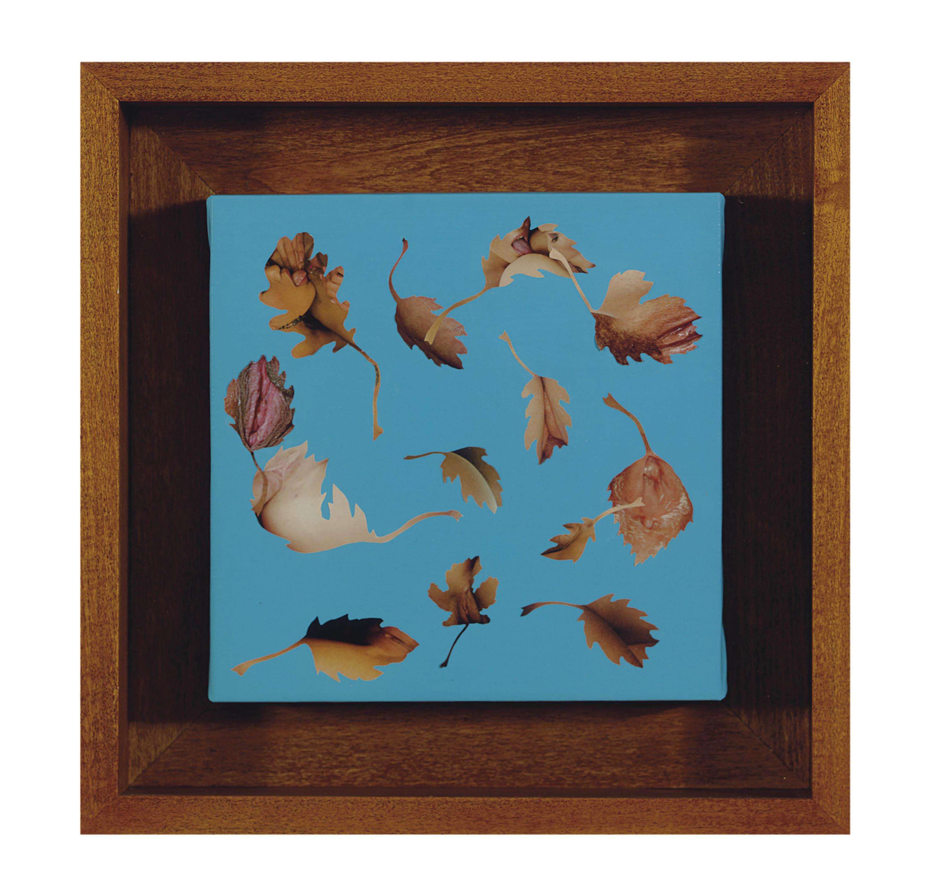 Jonathan Yeo - Leaf Study 16