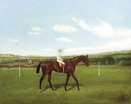 Jonny Audy - A bay racehorse with jockey up, a racecourse beyond