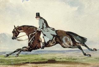 Jonny Audy - At full gallop