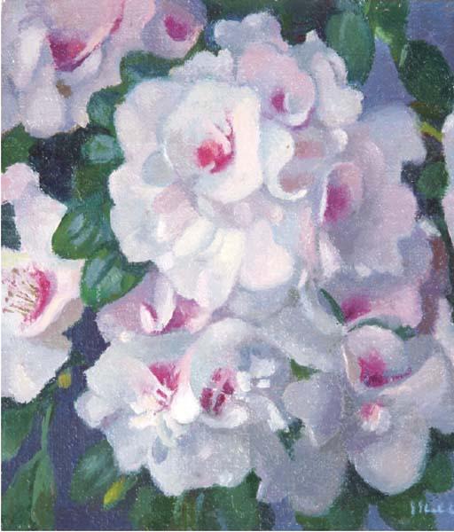 Joop Stierhout - Pink Roses