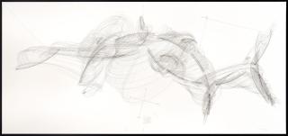 Jorinde Voigt - „Algorithmus Adlerflug – Elektrizität II“