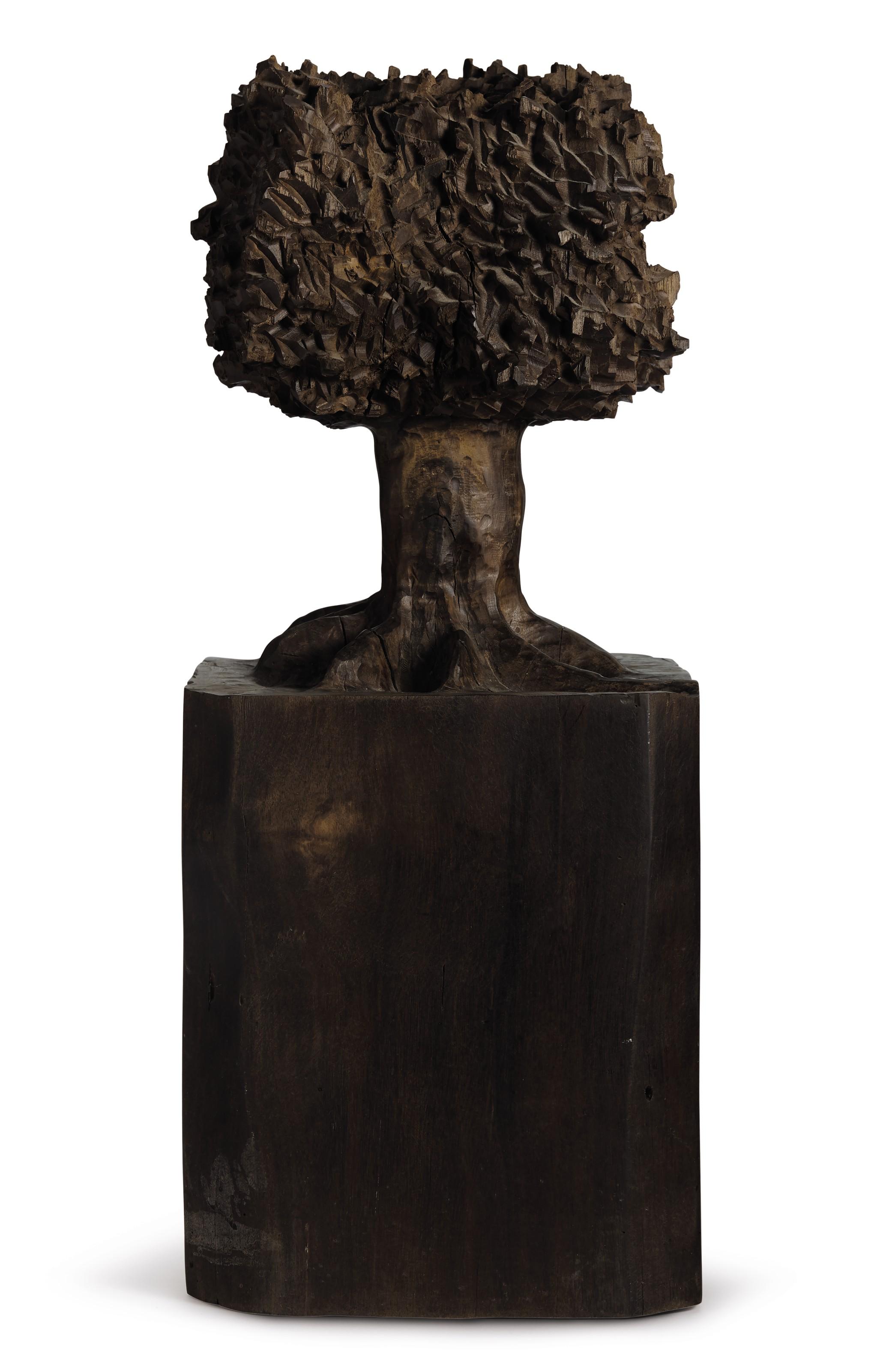 Jose Bento - Floresta