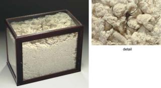 Jose Damasceno - Condensador com sistema de lentes