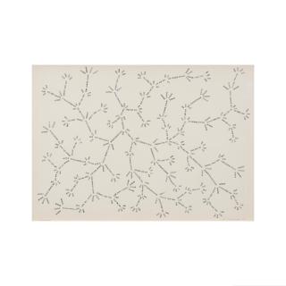 Jose Damasceno - Organograma