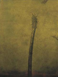 José Hernández - Eje Dominante