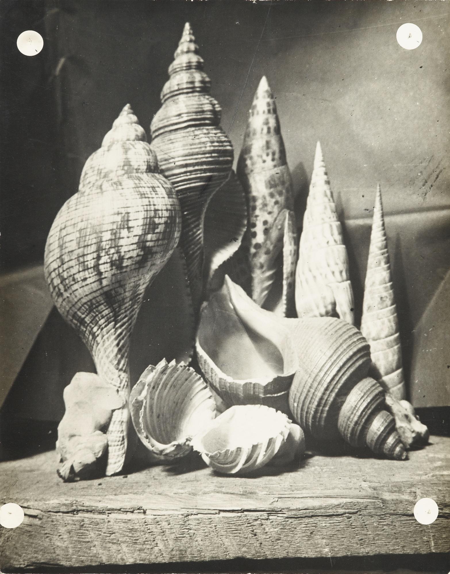 José Maria Sert - Etude Pour \'Les Aventures De Sindbad Le Marin\'