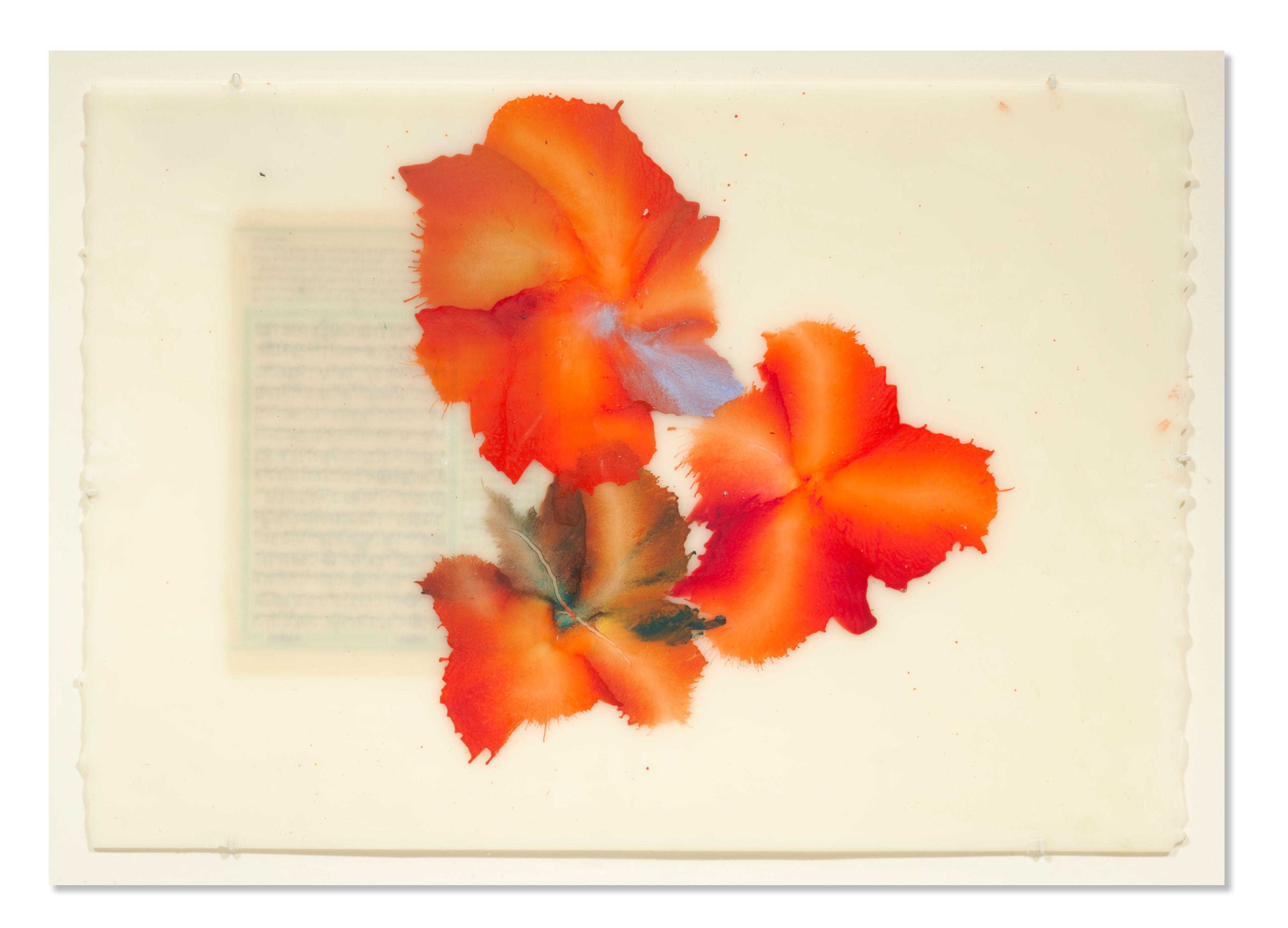 José Maria Sicilia - La luz que se apaga (deux œuvres)