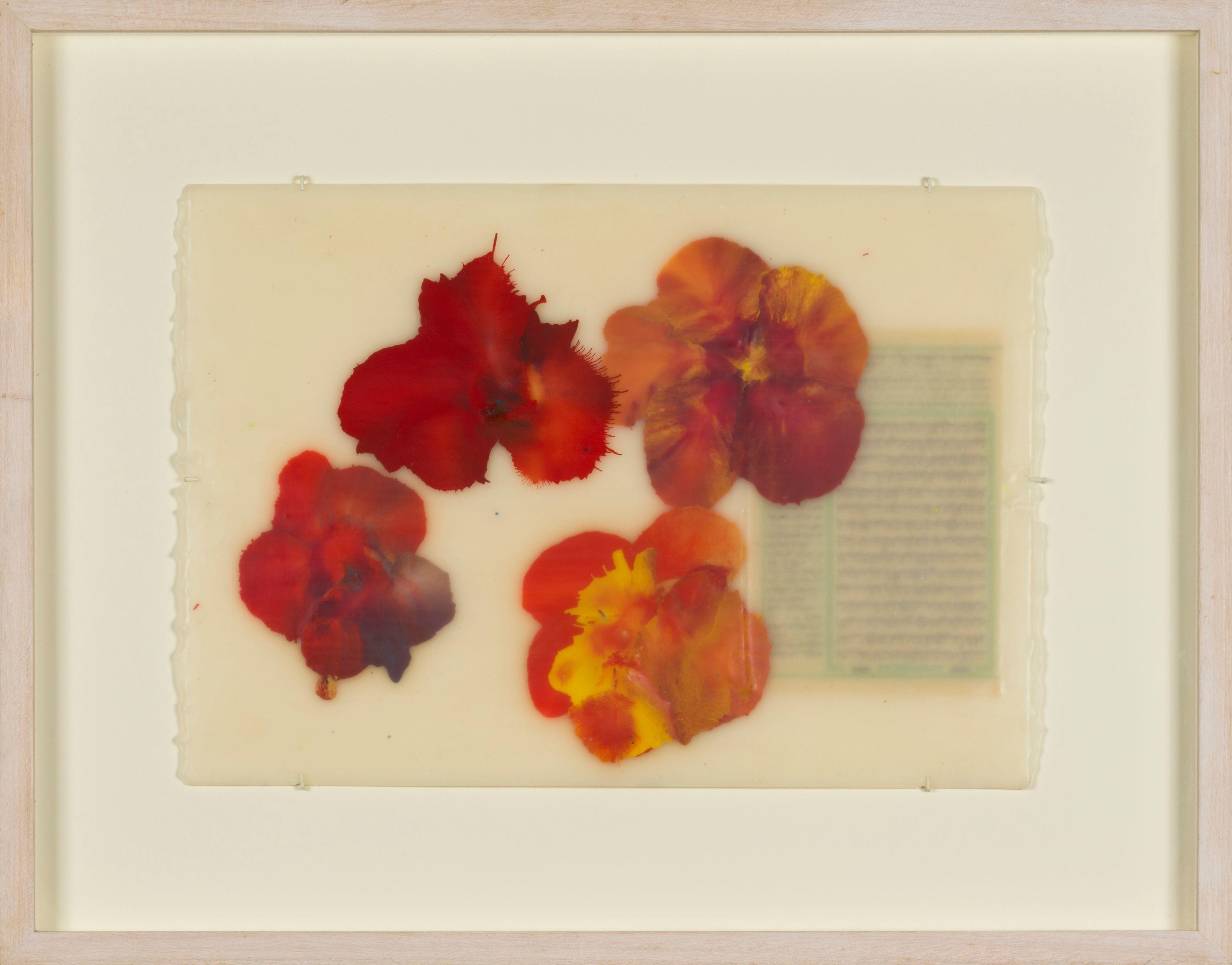 Jose Maria Sicilia - La luz que se apaga