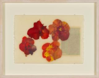 Jose Maria Sicilia - La luz que se apaga