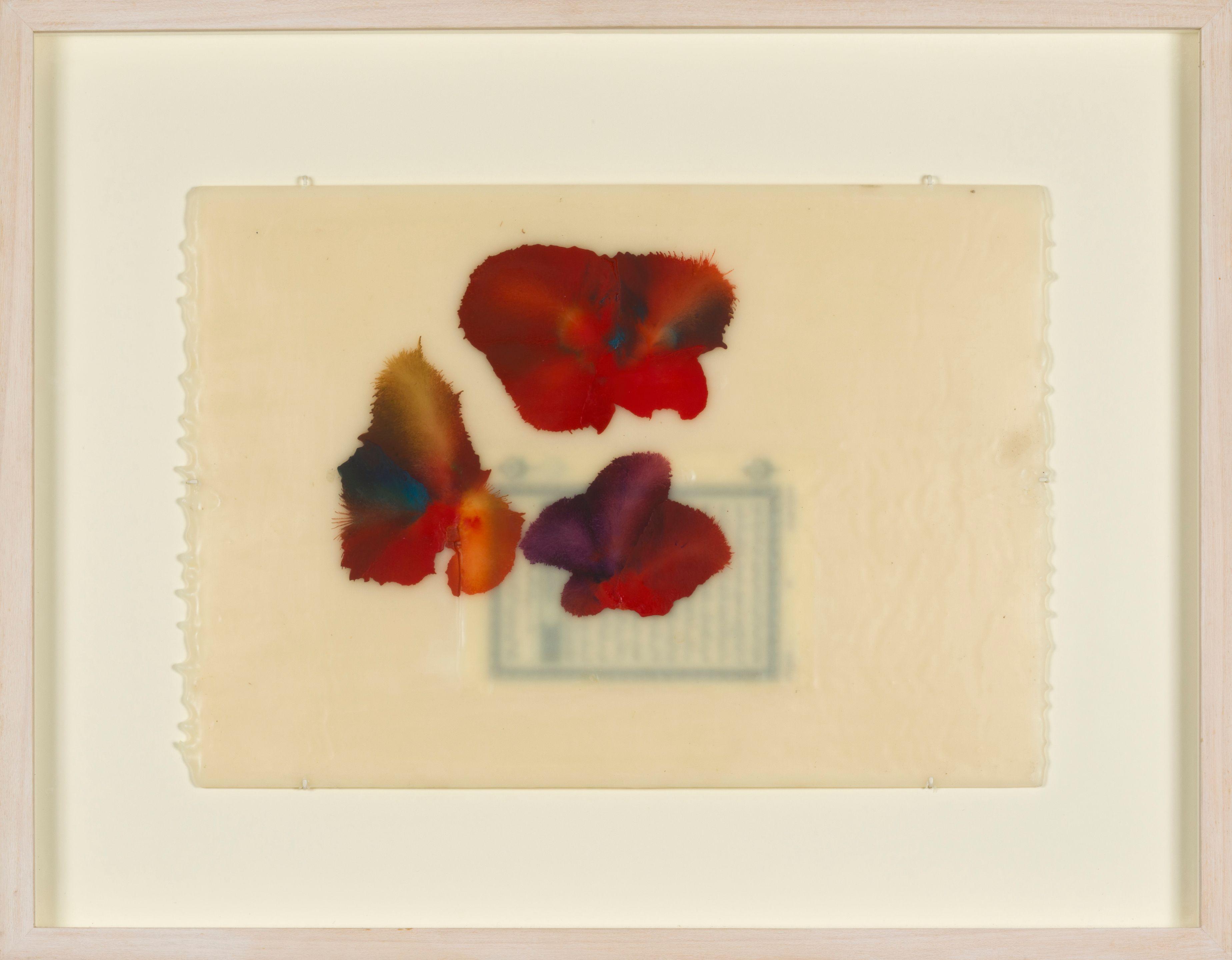 Jose Maria Sicilia - La luz que se apaga