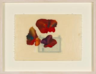 Jose Maria Sicilia - La luz que se apaga