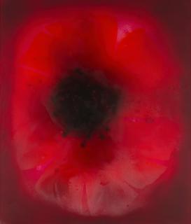 Jose Maria Sicilia - La luz que se apaga