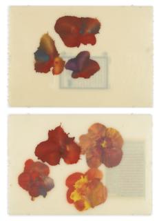 José María Sicilia - La Serie La Luz Que Se Apaga (The Fading Light)