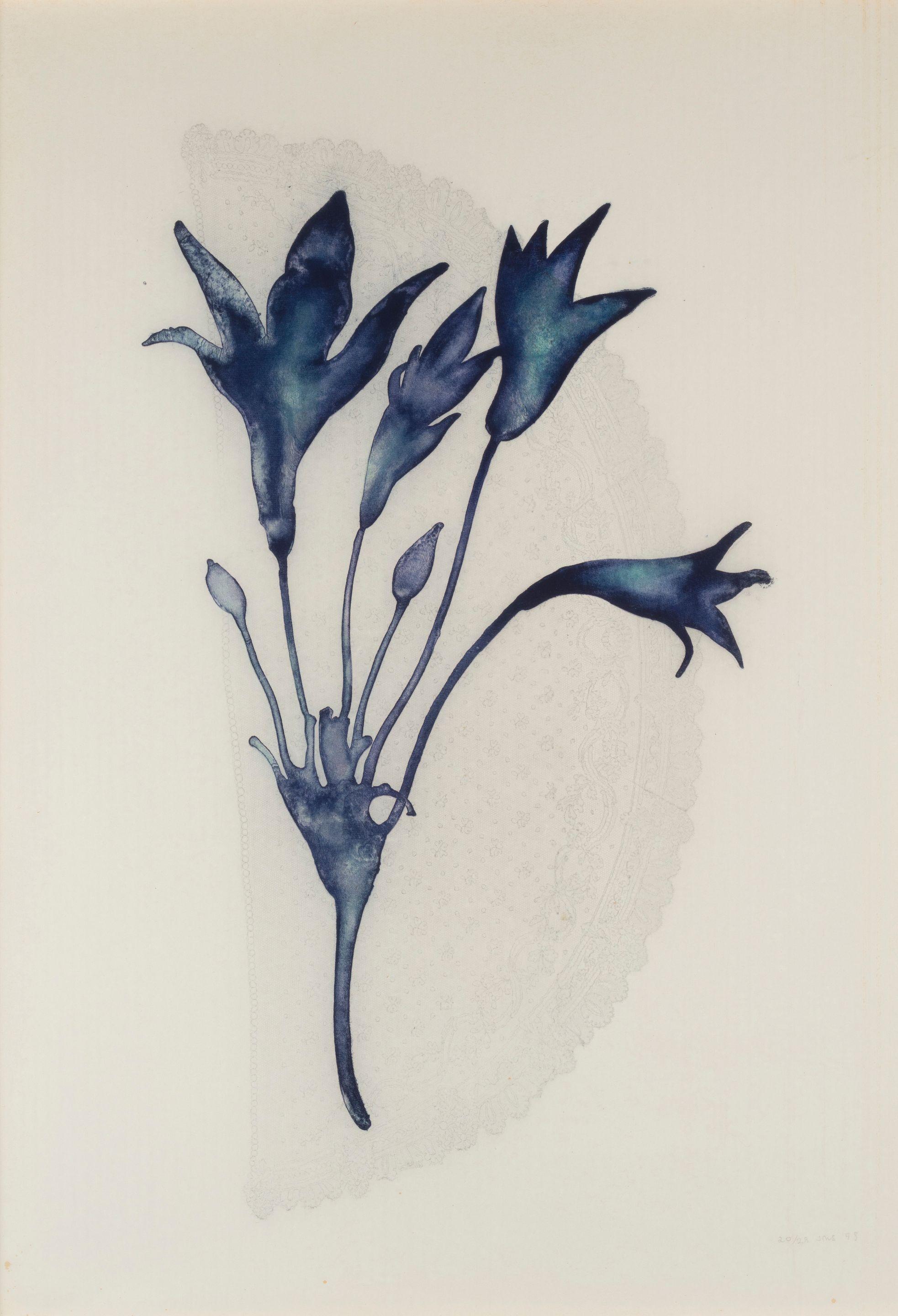 Jose Maria Sicilia - Los Orificios XVIII (Bordaca Laxa)