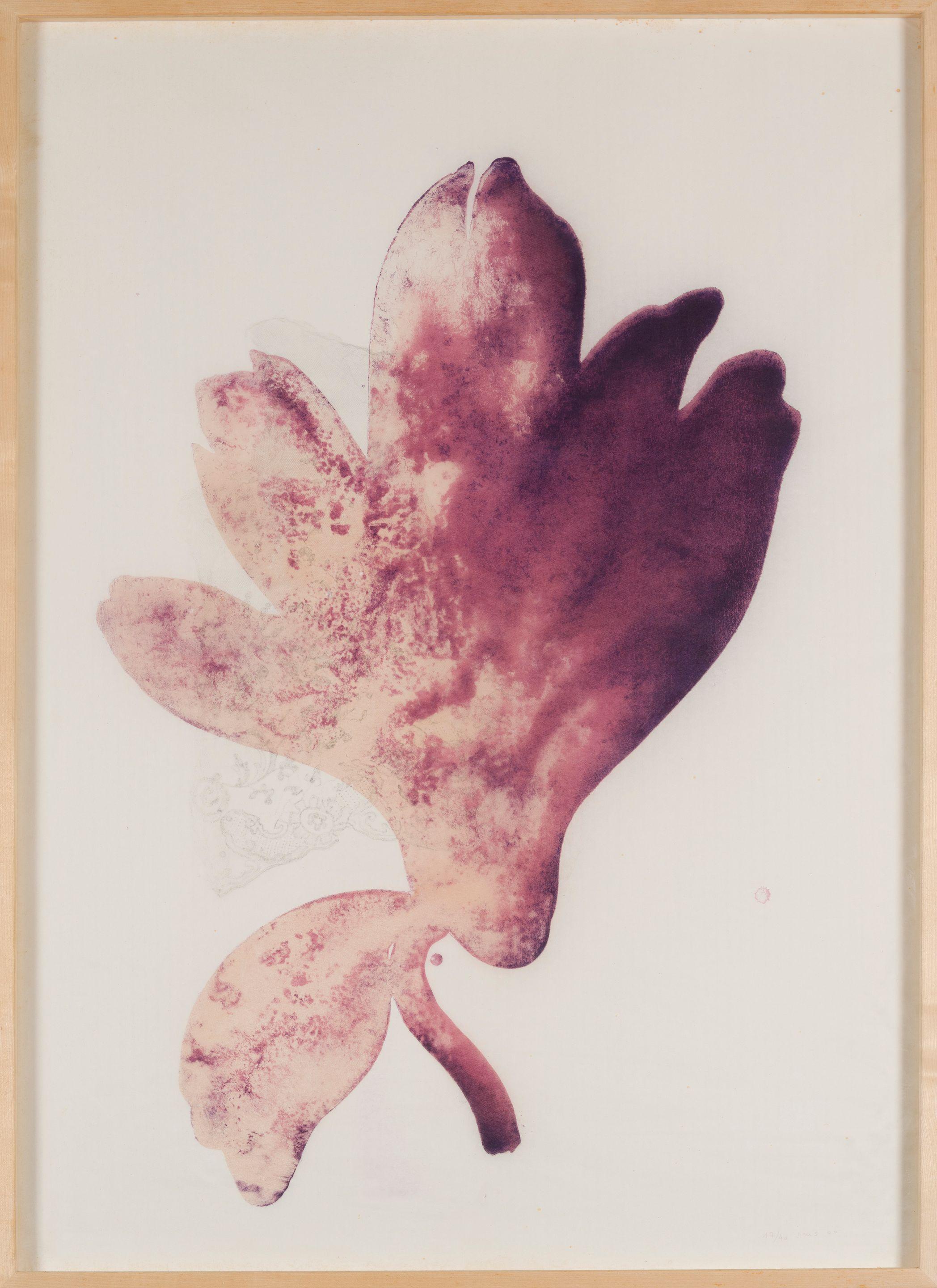 Jose Maria Sicilia - Los Orificios XXIV (Cyclamen)