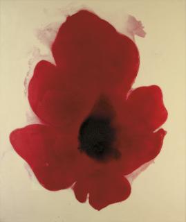 José María Sicilia - Soller