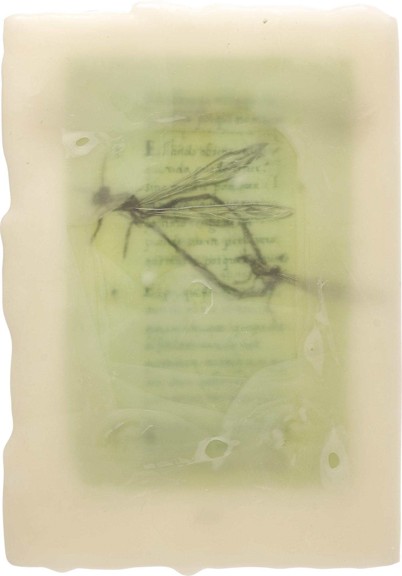 José María Sicilia - Untitled (From The Series Sanlucar De Barrameda), 1993