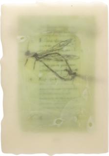 José María Sicilia - Untitled (From The Series Sanlucar De Barrameda), 1993