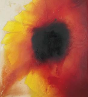 José Maria Sicilia - Untitled