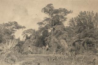 José María Velasco - Paisaje Veracruzano (Bosque De Cempoala)