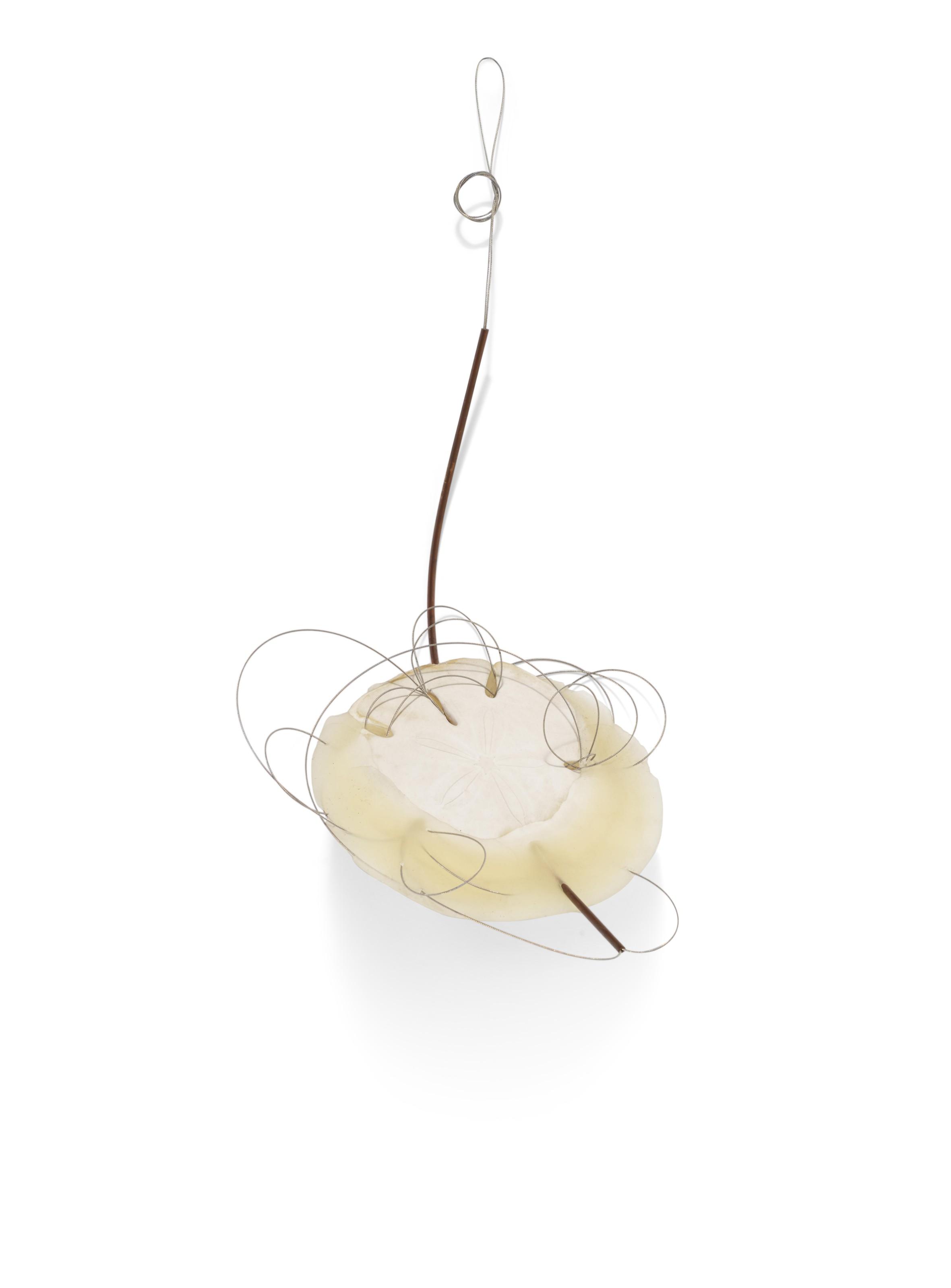 Jose Resende - Untitled