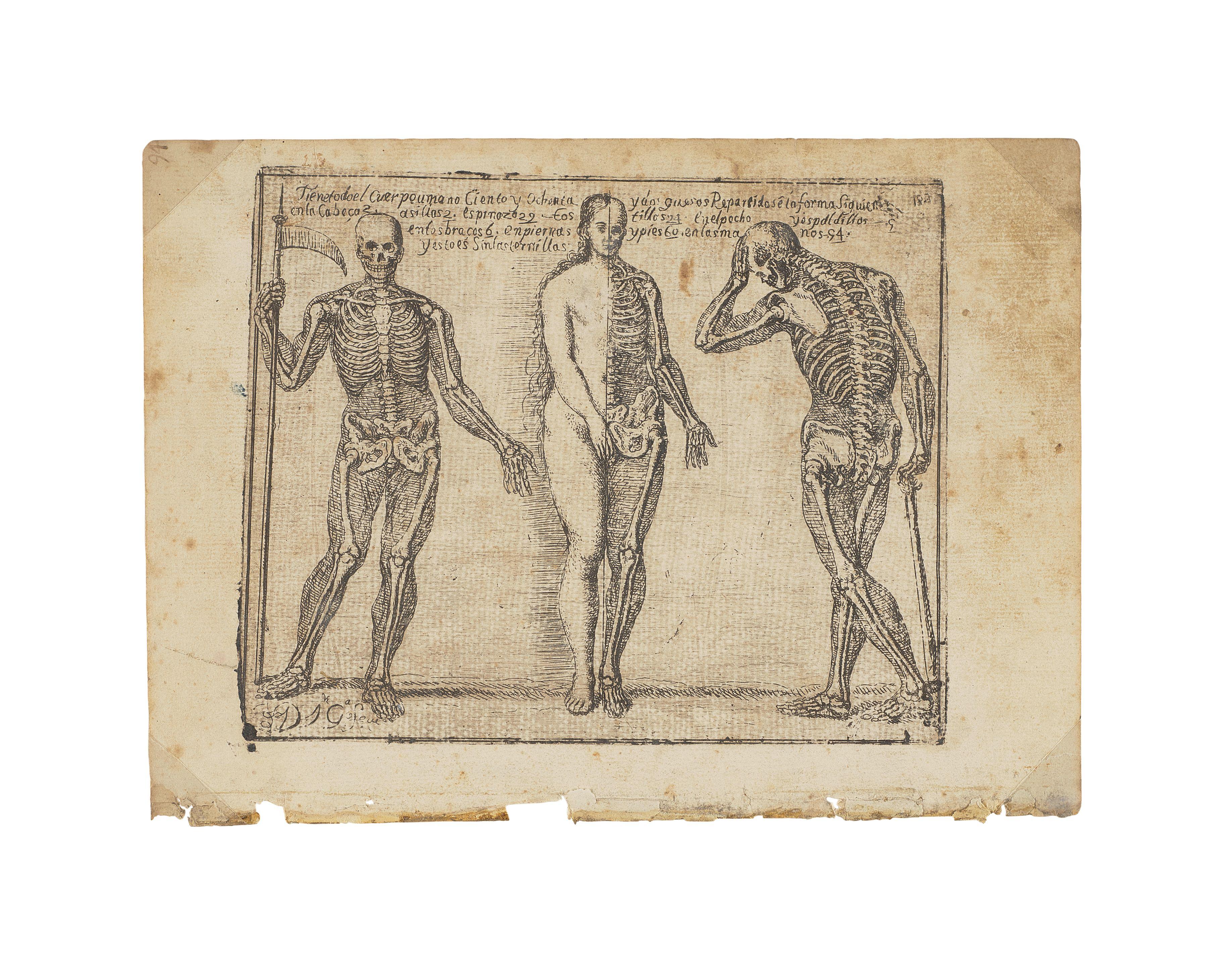 Josef Garcia el Hidalgo - Studies of Three Skeletons, from Principios para estudiar el nobilísimo y real arte de la pintura (Principles to Study the Most Noble and Royal Art of Painting)