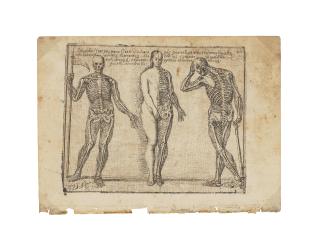 Josef Garcia el Hidalgo - Studies of Three Skeletons, from Principios para estudiar el nobilísimo y real arte de la pintura (Principles to Study the Most Noble and Royal Art of Painting)