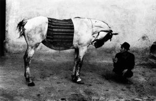 Josef Koudelka - Roumanie