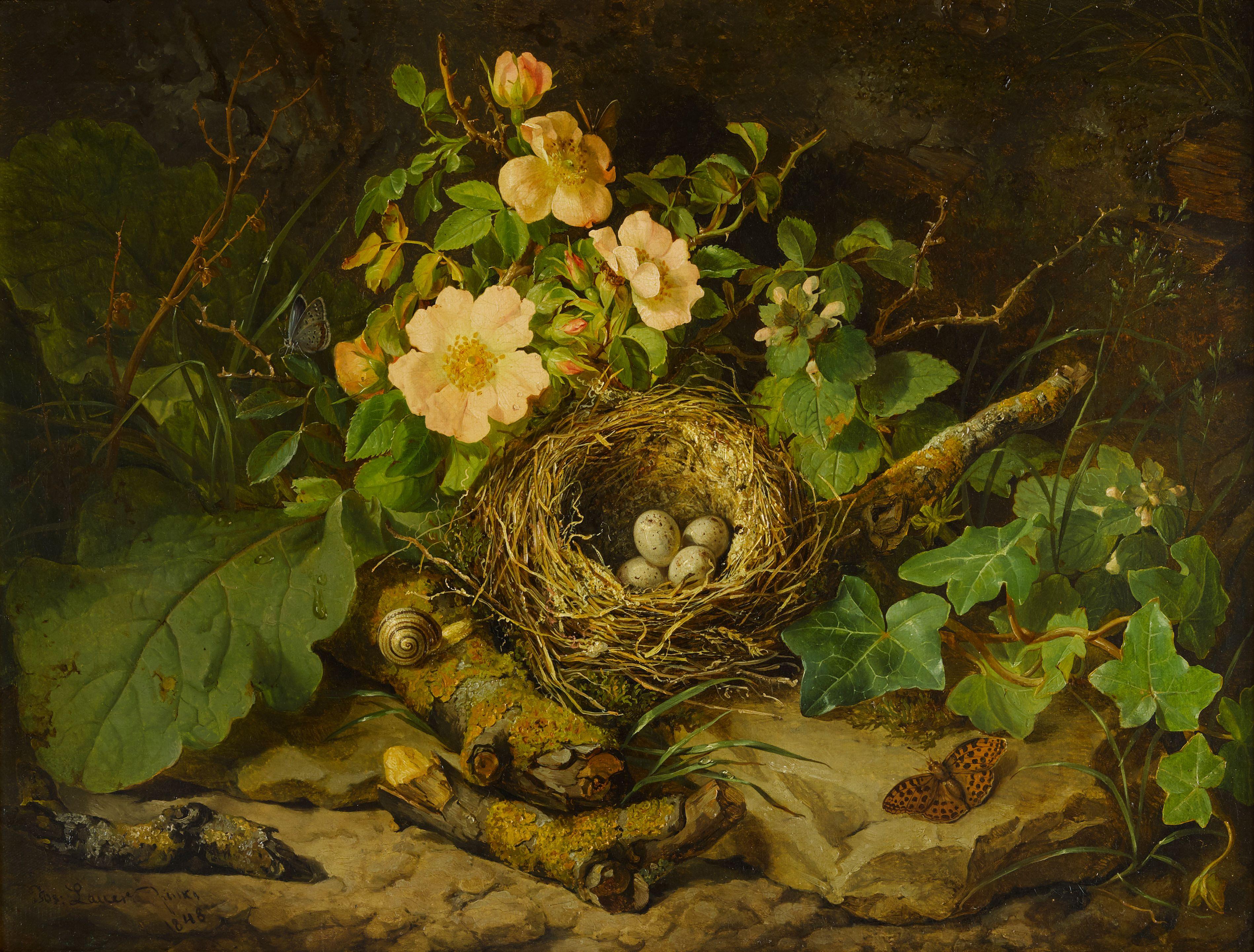 Josef Lauer - A bird\'s nest among tea roses