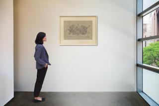 Josef Scharl - Orchids