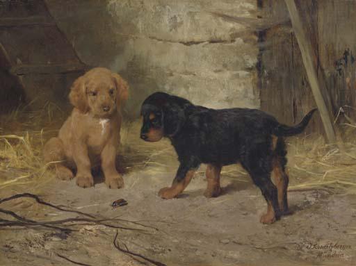 Josef Schmitzberger - Sizing Up The Opponent