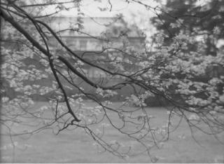 Josef Sudek - Belvedere in Prague Castle