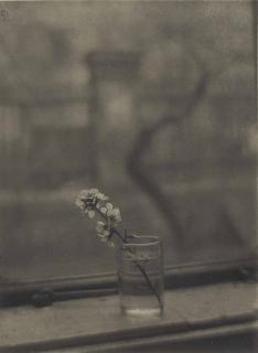 Josef Sudek - Bouquet, 1950