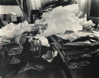 Josef Sudek - De La Série \'Labyrinthe\'