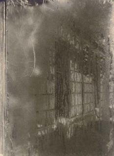 Josef Sudek - From the Window of My Atelier, 1950