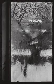 Josef Sudek - Frost\'S Signature (The Window Of My Studio)