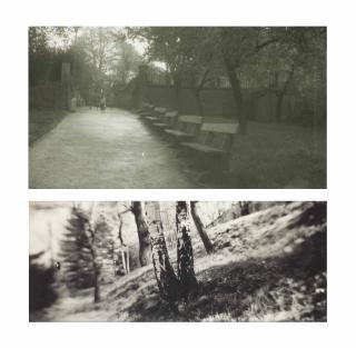 Josef Sudek - In the Magic Garden, ca. 1950-59 (two works)