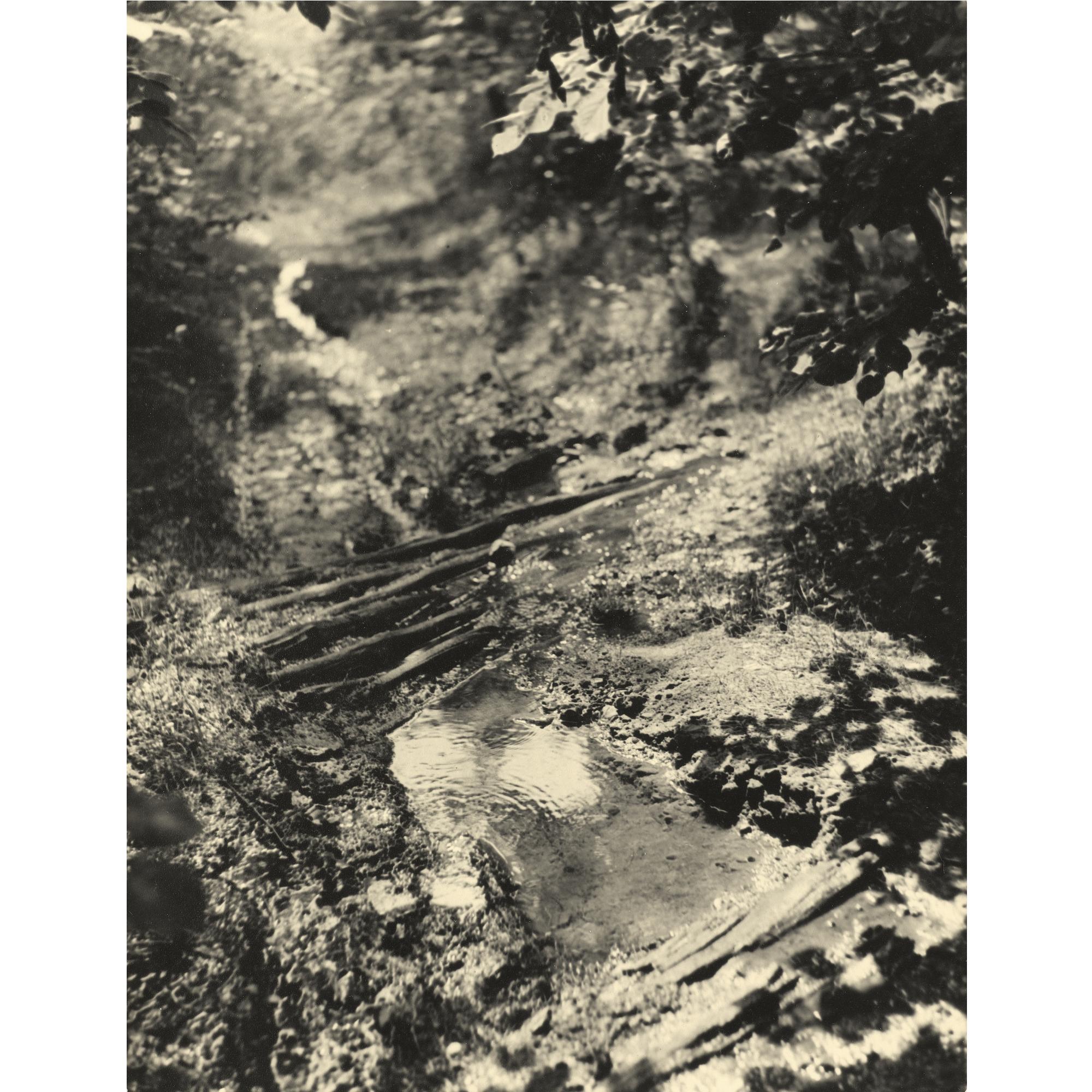 Josef Sudek - Landscape, 1969