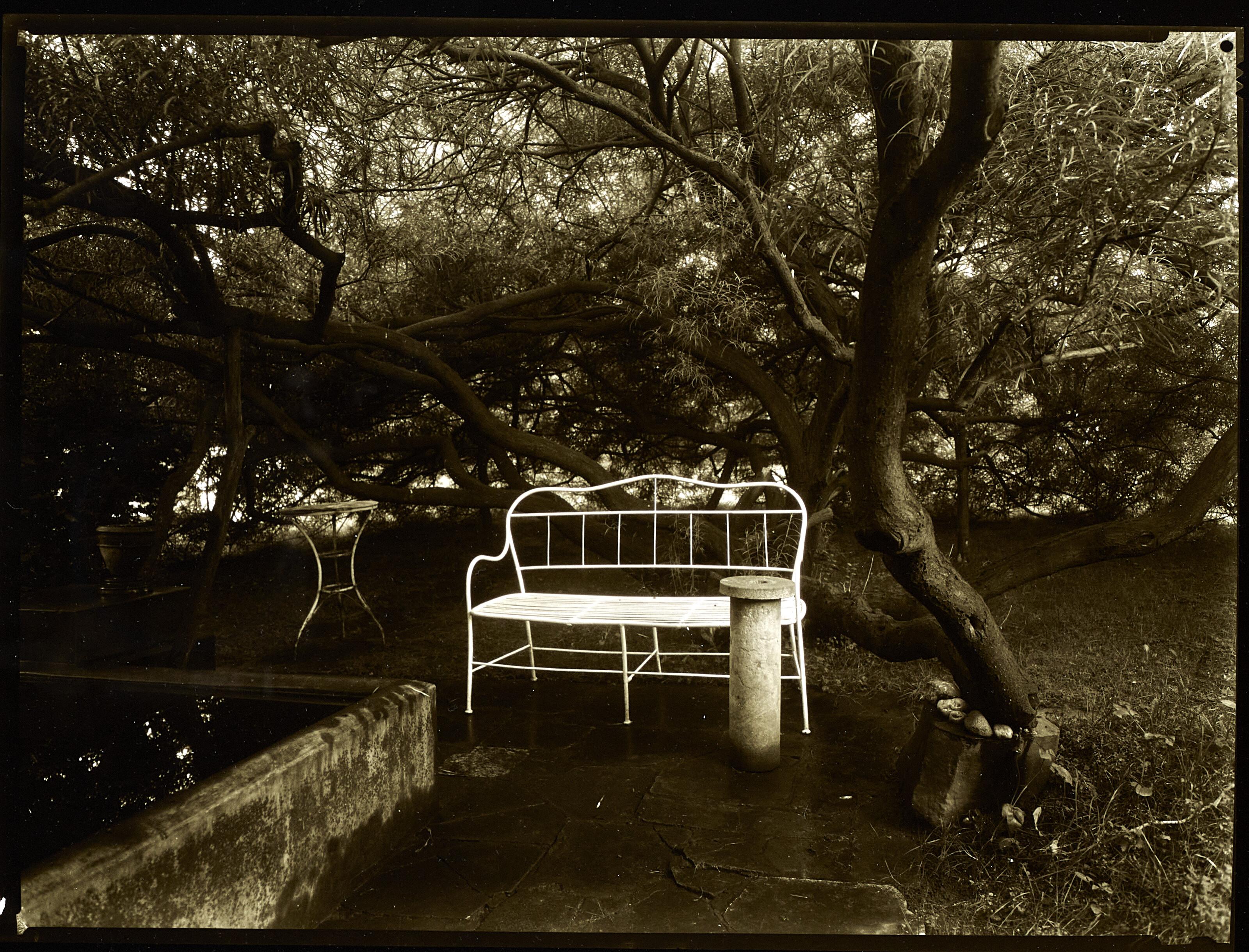 Josef Sudek - Magic Garden, 1954