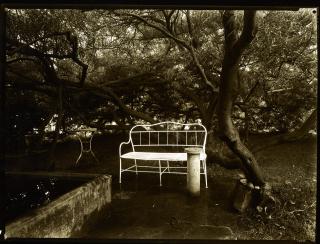 Josef Sudek - Magic Garden, 1954