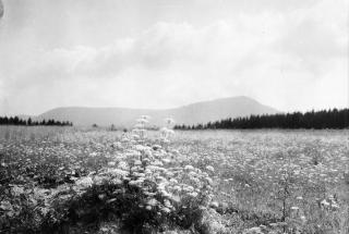 Josef Sudek - Paesaggio 1952 ca.