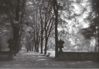 Josef Sudek - Park, Prague