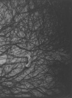Josef Sudek - Remembrances of E.A. Poe