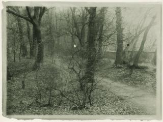 Josef Sudek - Sans Titre