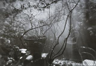 Josef Sudek - \'The Magic Garden During A Summer Shower\', 1954-59Vintage Silver Print. Signed Sudek In The Lower Black Margin At Right. On The Reverse With Annotations In Pencil By An Unknown Hand.