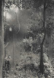 Josef Sudek - The Window of My Studio, 1940–1954